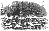 cedarmount_11044_th.gif
