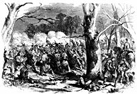fortdonelson_11049_sm.gif