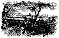 munsonhill_11051_sm.gif