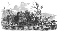 pontoon_11063_lg.gif