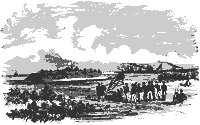 fthatteras_11070_sm.gif