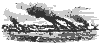 burnboats_11077_th.gif