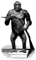 gorilla_11100_lg.gif