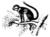 malbrouck_11103_th.gif