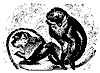 soot_monkey_11106_th.gif