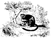 bellow_monke_11124_th.gif