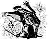 fly_lemur_11130_th.gif