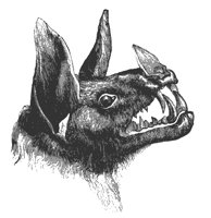 spectre_bat_11132_md.gif