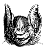 javelin_bat_11133_th.gif