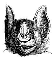 javelin_bat_11133_sm.gif