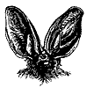 ear_bat_11134_th.gif