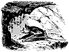 rhino_bat_11139_th.gif
