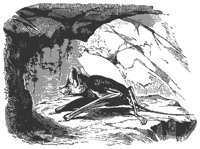 rhino_bat_11139_md.gif