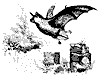 limnophilus_11142_th.gif