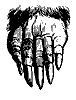 mole_foot_11156_th.gif