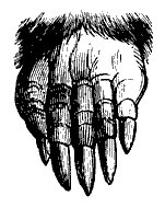 mole_foot_11156_sm.gif