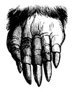 mole_foot_11156_md.gif