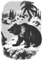 euro_bear_11166_md.gif