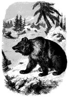 euro_bear_11166_lg.gif