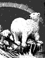 jungle_bear_11170_sm.gif