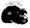 sloth_bear_11173_th.gif