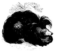 sloth_bear_11173_sm.gif