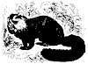 panda_11176_th.gif