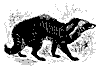 civet_11180_th.gif
