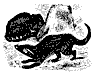 genet_11183_th.gif