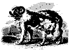 new_dog_11201_th.gif