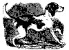 fox_hound_11203_th.gif