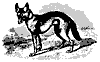 jackal_11212_th.gif