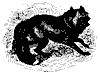 cross_fox_11214_th.gif