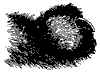 cat_claw_11215_th.gif
