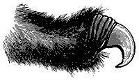 cat_claw_11216_sm.gif