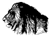 lion_head_11219_th.gif