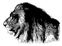 lion_head_11219_sm.gif