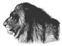 lion_head_11219_md.gif