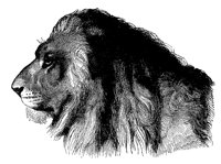 lion_head_11219_lg.gif