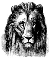 lion_head_11220_md.gif