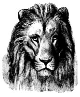 lion_head_11220_lg.gif