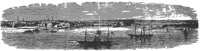 norfolk_11232_lg.gif