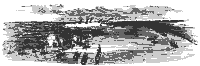 fed_fleet_11233_sm.gif