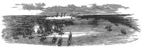 fed_fleet_11233_lg.gif