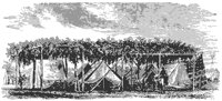 buttefield_11277_md.gif