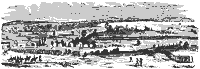 bull_run_11278_sm.gif