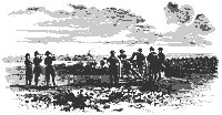 shelling_con_11293_sm.gif