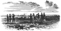 shelling_con_11293_md.gif