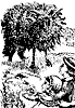 sheep_11323_th.gif