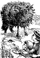 sheep_11323_sm.gif
